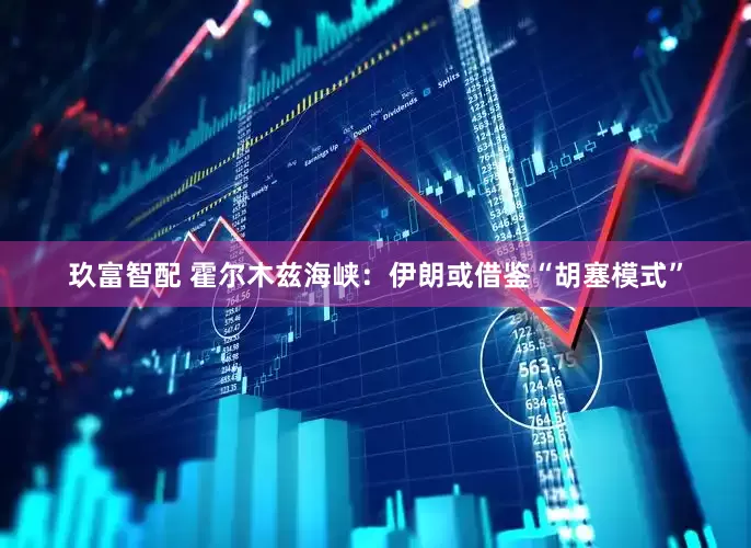 玖富智配 霍尔木兹海峡：伊朗或借鉴“胡塞模式”