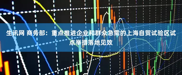 生讯网 商务部：重点推进企业和群众急需的上海自贸试验区试点举措落地见效