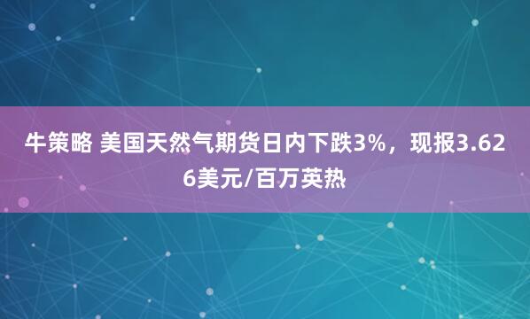 牛策略 美国天然气期货日内下跌3%，现报3.626美元/百万英热
