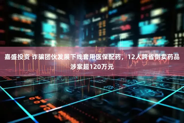 嘉盛投资 诈骗团伙发展下线套用医保配药，12人跨省倒卖药品涉案超120万元