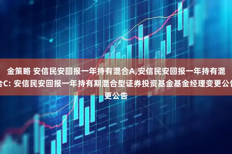金策略 安信民安回报一年持有混合A,安信民安回报一年持有混合C: 安信民安回报一年持有期混合型证券投资基金基金经理变更公告