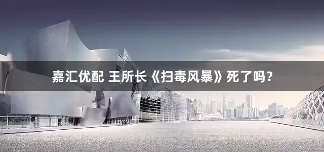 嘉汇优配 王所长《扫毒风暴》死了吗？