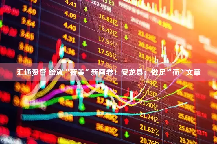 汇通资管 绘就“荷美”新画卷！安龙县：做足“荷”文章