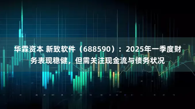 华霖资本 新致软件（688590）：2025年一季度财务表现稳健，但需关注现金流与债务状况