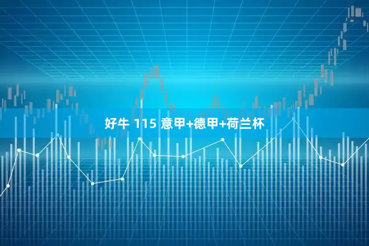 好牛 115 意甲+德甲+荷兰杯
